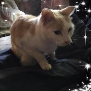 Meet your Posher, Cheryl